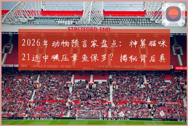 2026年动物预言家盘点:神算猫咪21连中碾压章鱼保罗?揭秘背后真相与科学预测方法