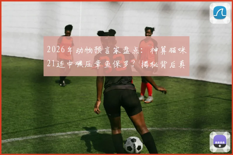 2026年动物预言家盘点：神算猫咪21连中碾压章鱼保罗？揭秘背后真相与科学预测方法