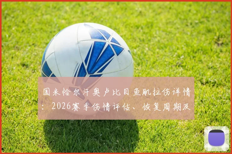 国米恰尔汗奥卢比目鱼肌拉伤详情：2026赛季伤情评估、恢复周期及对球队影响深度分析