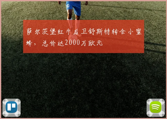 萨尔茨堡红牛后卫舒斯特转会小蜜蜂,总价达2000万欧元